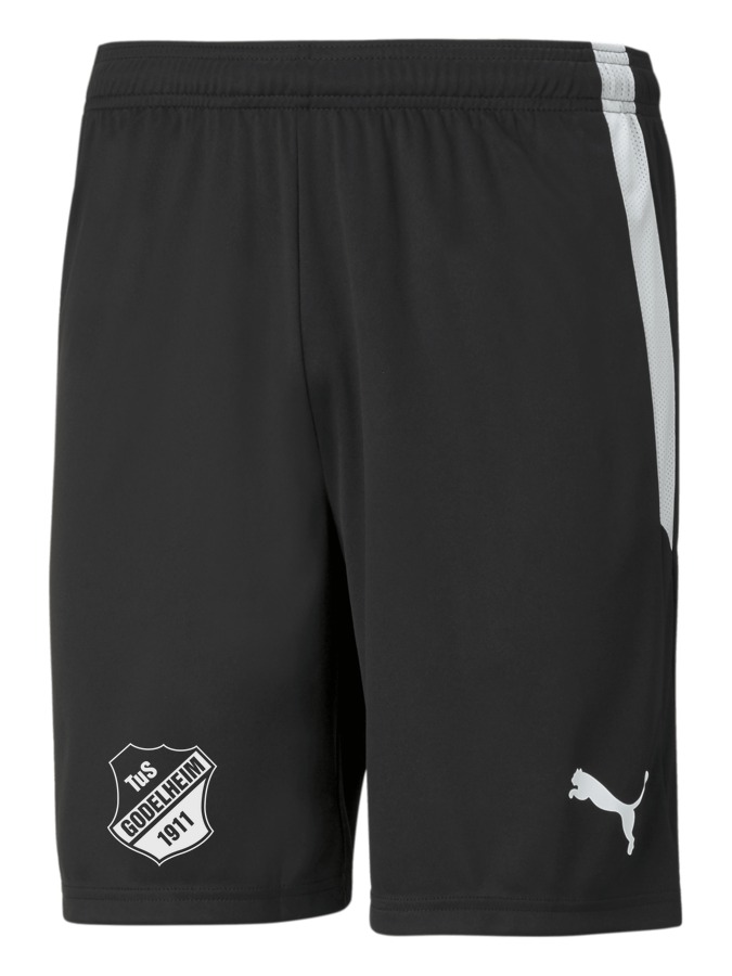 PUMA teamLIGA Shorts