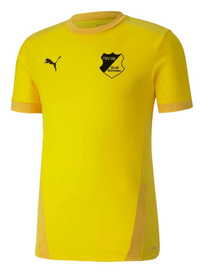 PUMA teamGOAL 23 Trikot