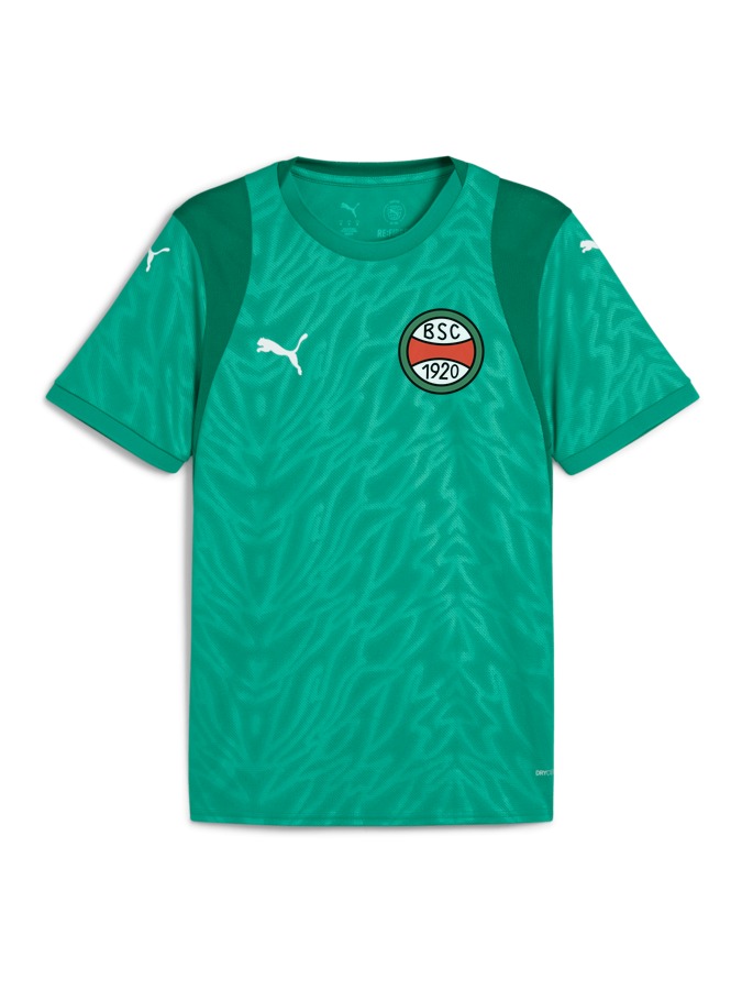 PUMA teamCUP Trikot