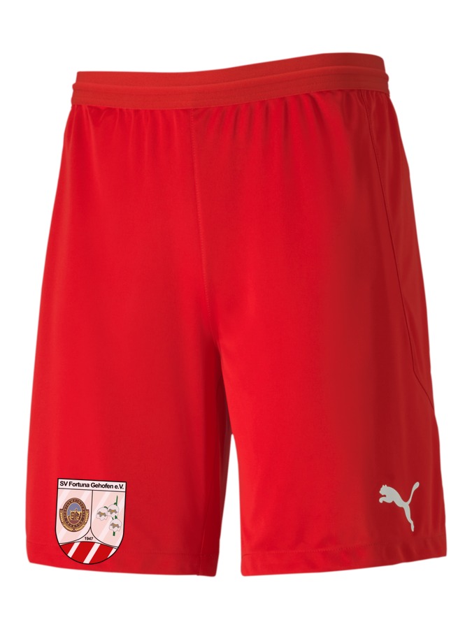 PUMA teamFINAL 21 Knit Shorts