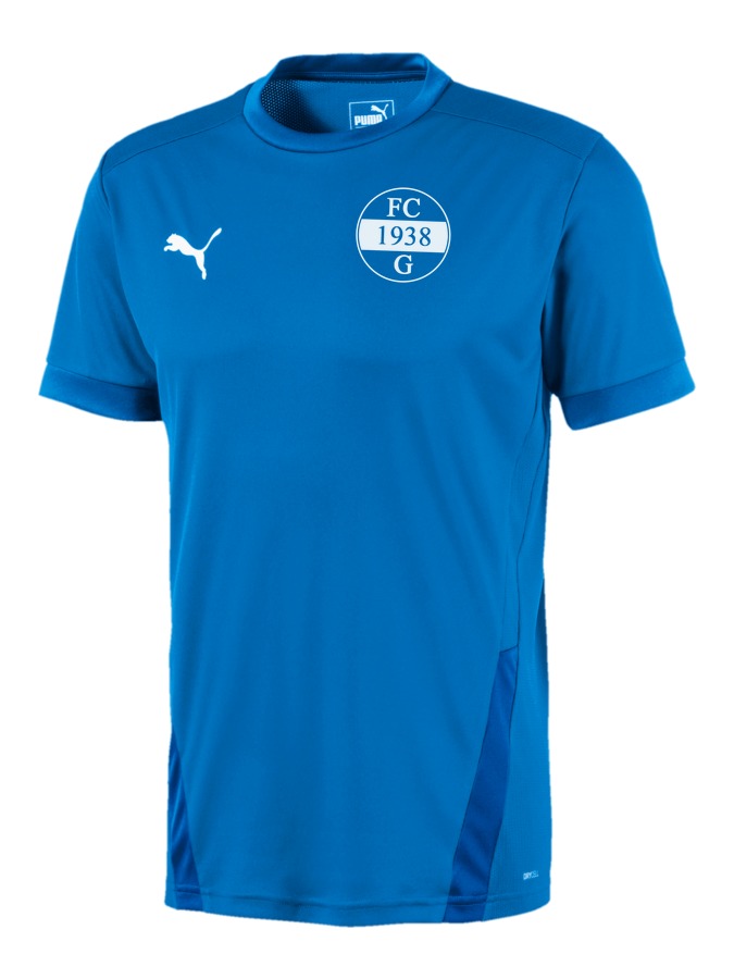 PUMA teamGOAL 23 Trikot