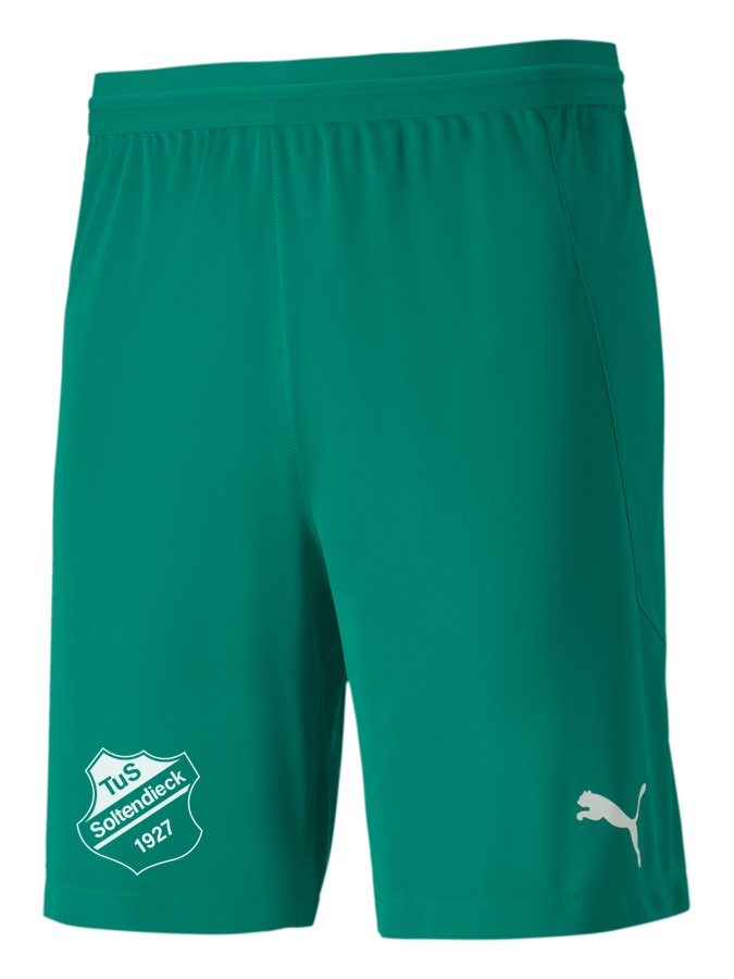PUMA teamFINAL 21 Knit Shorts