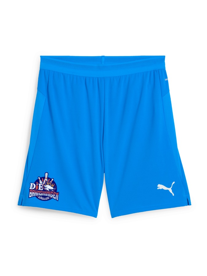 PUMA teamCUP Shorts