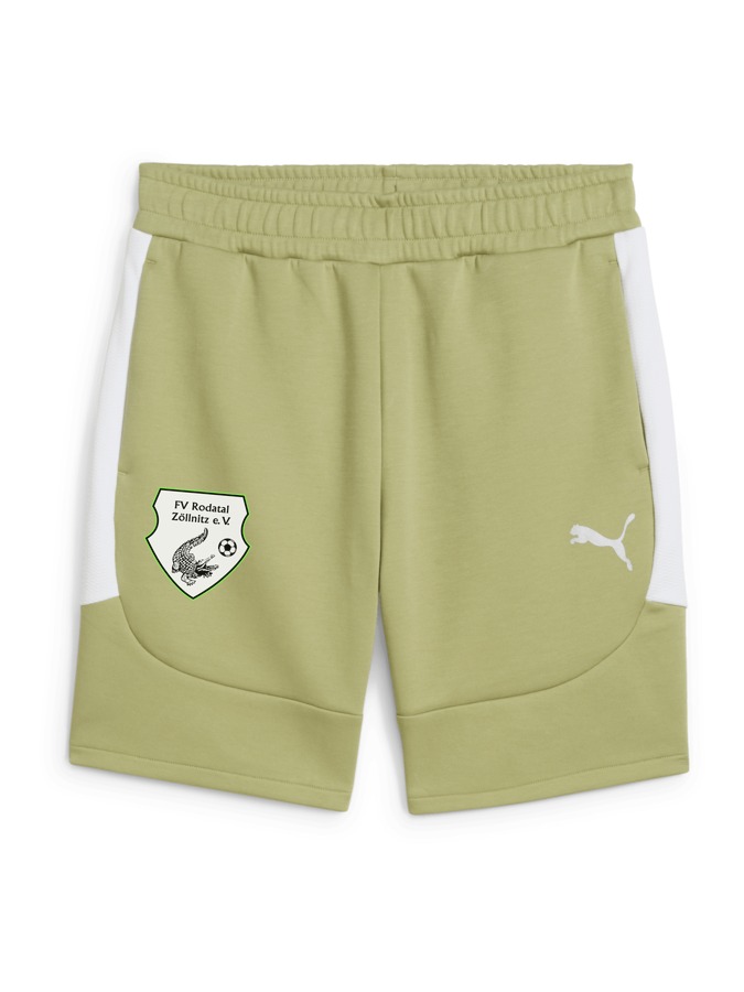 PUMA teamEVOSTRIPE Shorts