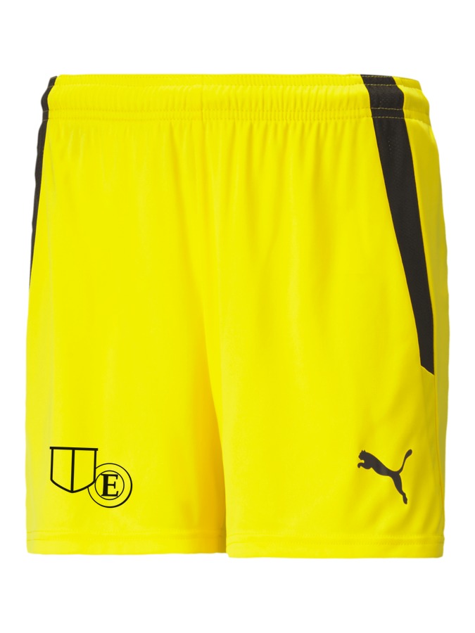 PUMA teamLIGA Shorts Damen