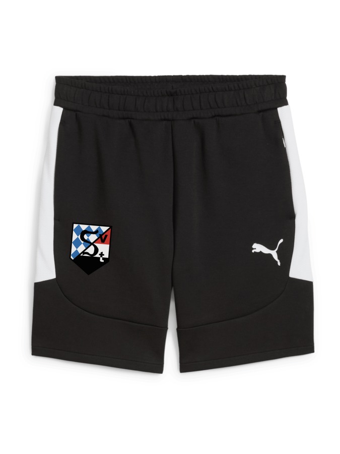 PUMA teamEVOSTRIPE Shorts
