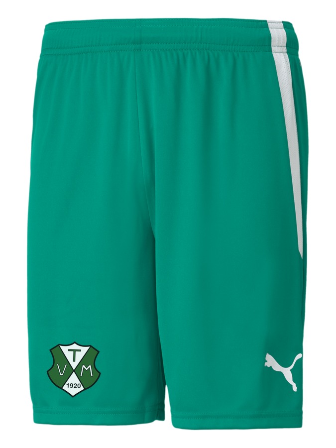 PUMA teamLIGA Shorts