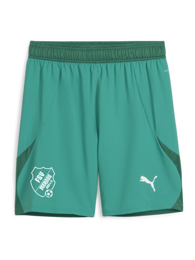PUMA teamFINAL Shorts