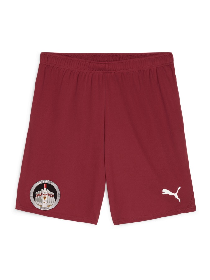 PUMA teamGOAL Shorts