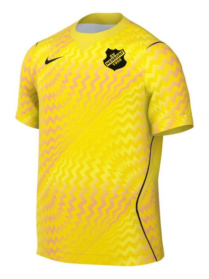 Nike Gardien VI Torwart Trikot