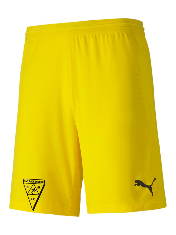 PUMA teamFINAL 21 Knit Shorts