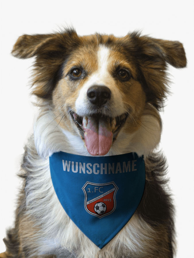 Hundehalstuch