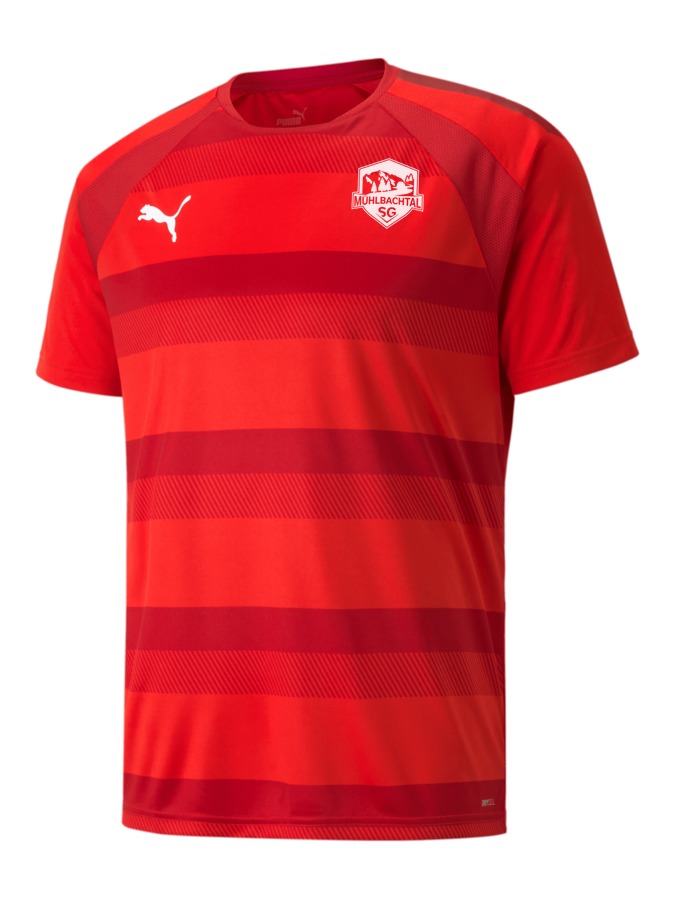 PUMA teamVISION Trikot