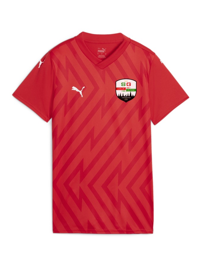 PUMA teamGLORY Trikot Damen