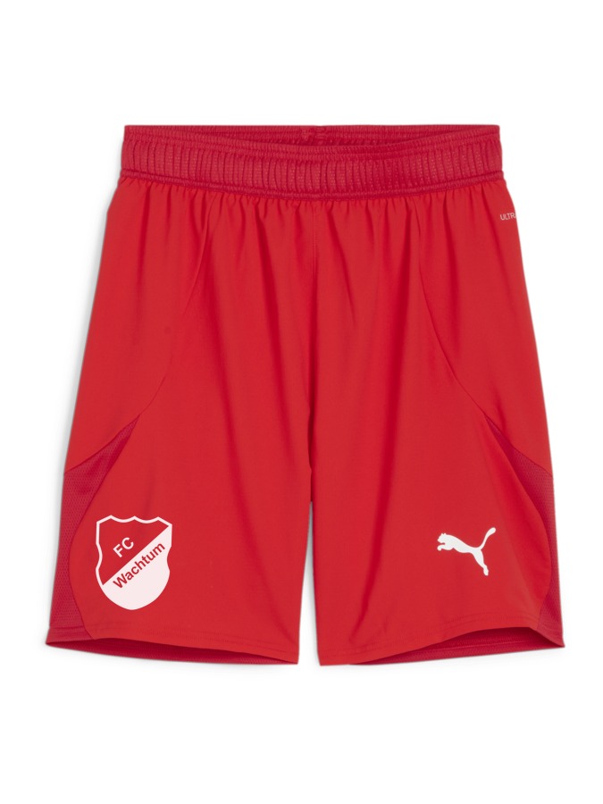 PUMA teamFINAL Shorts
