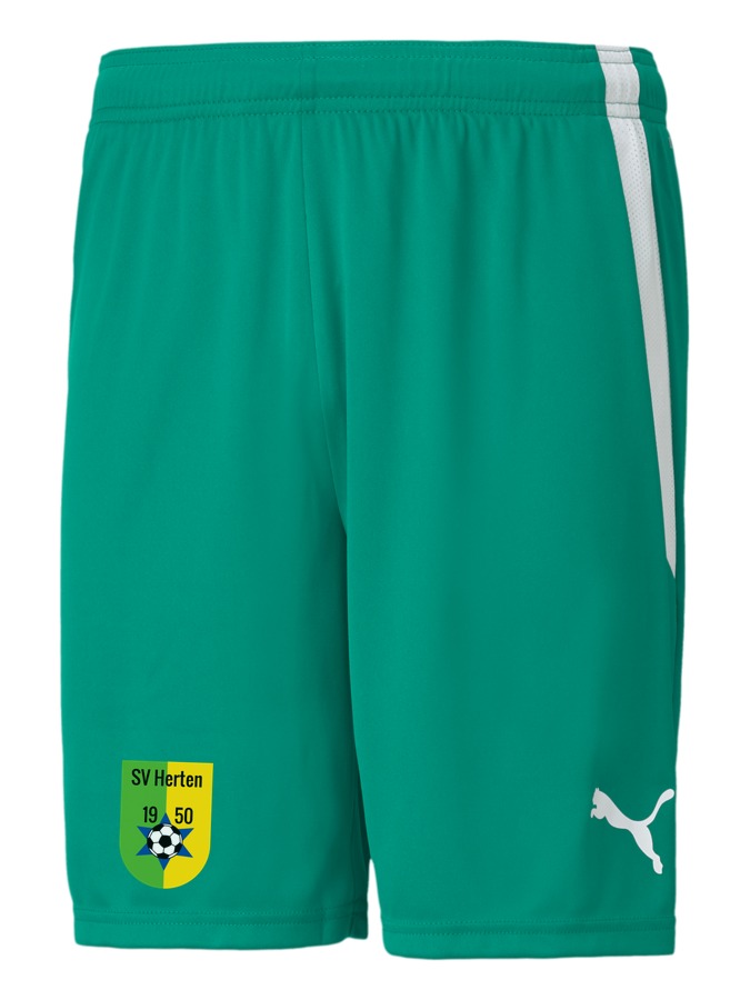 PUMA teamLIGA Shorts