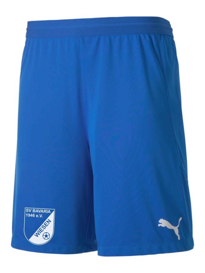 PUMA teamFINAL 21 Knit Shorts