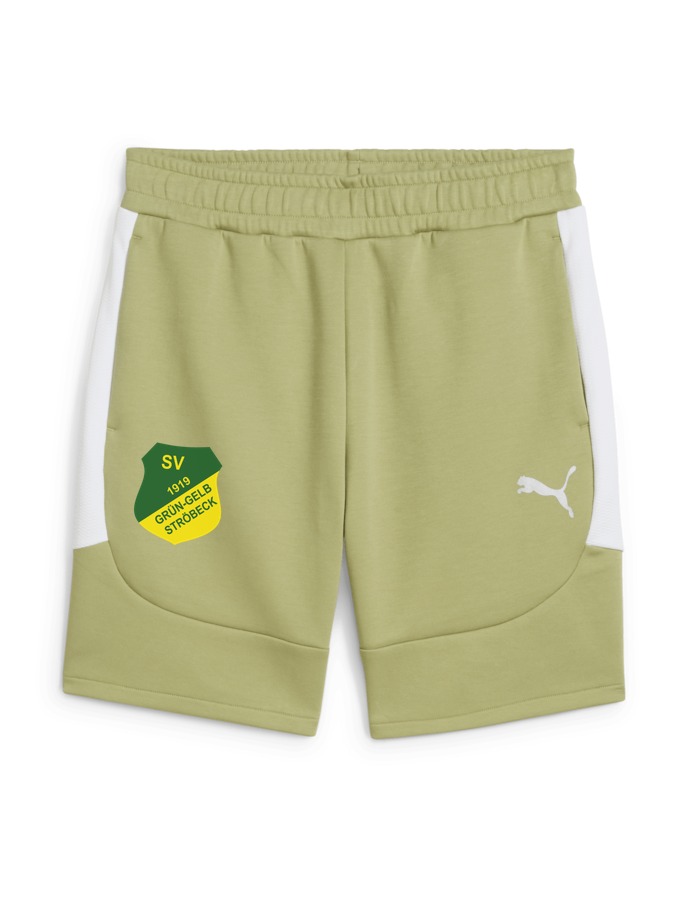 PUMA teamEVOSTRIPE Shorts