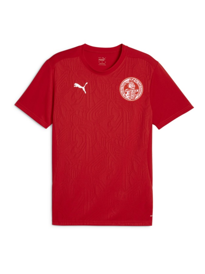 PUMA teamFINAL Trainingsshirt