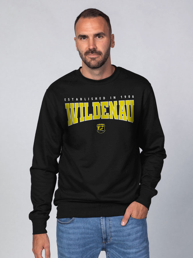 Sweater Retro Herren