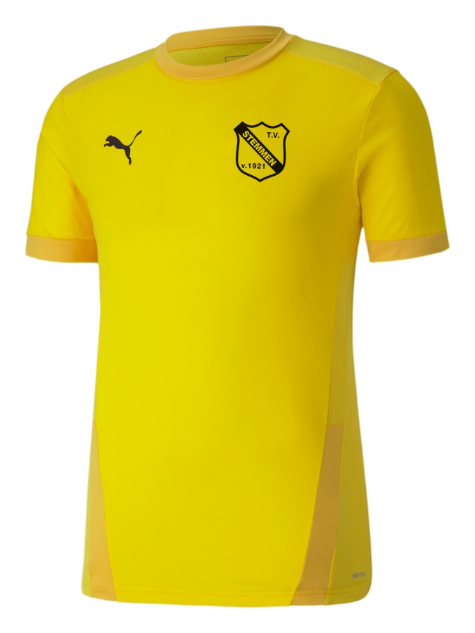 PUMA teamGOAL 23 Trikot