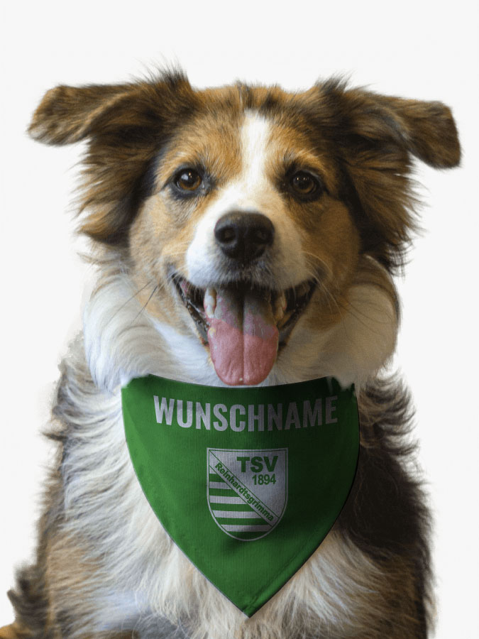 Hundehalstuch