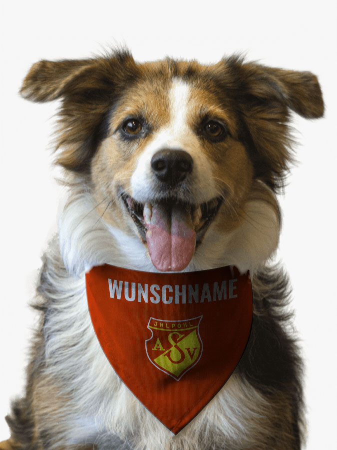 Hundehalstuch