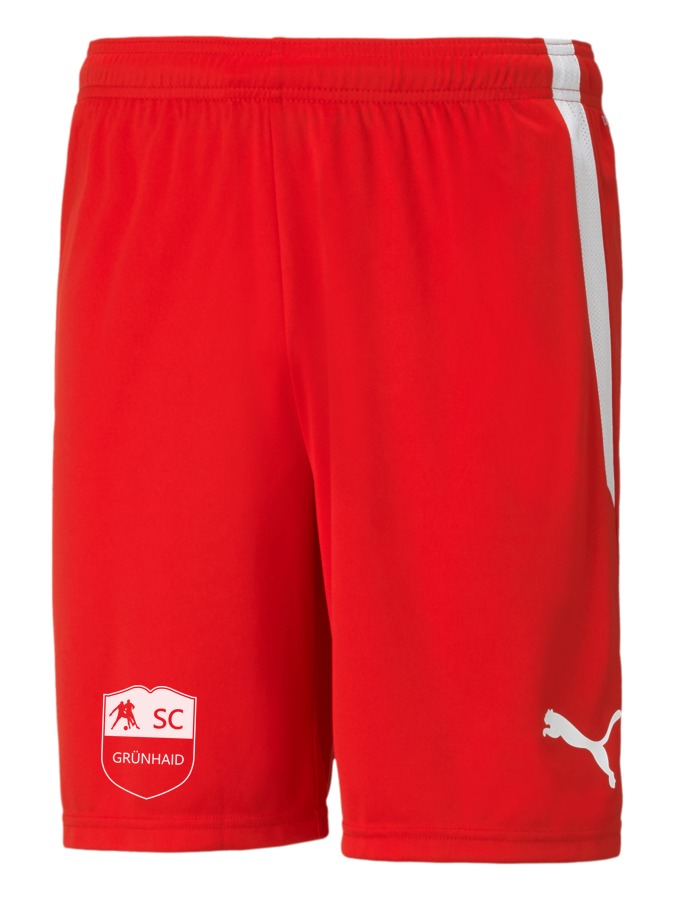 PUMA teamLIGA Shorts