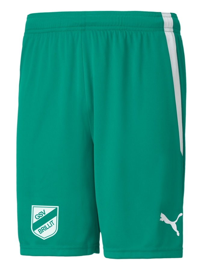 PUMA teamLIGA Shorts