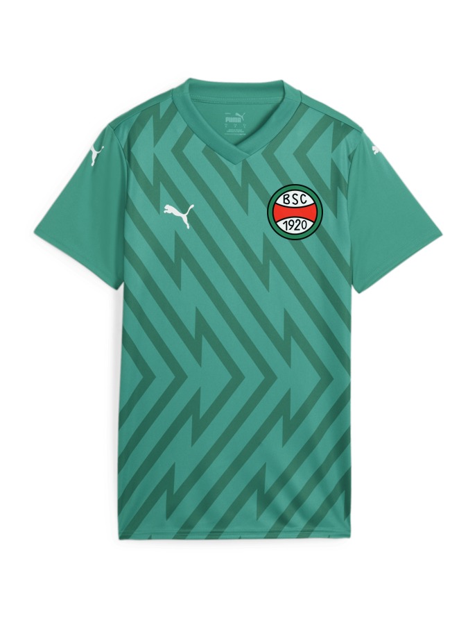 PUMA teamGLORY Trikot Damen