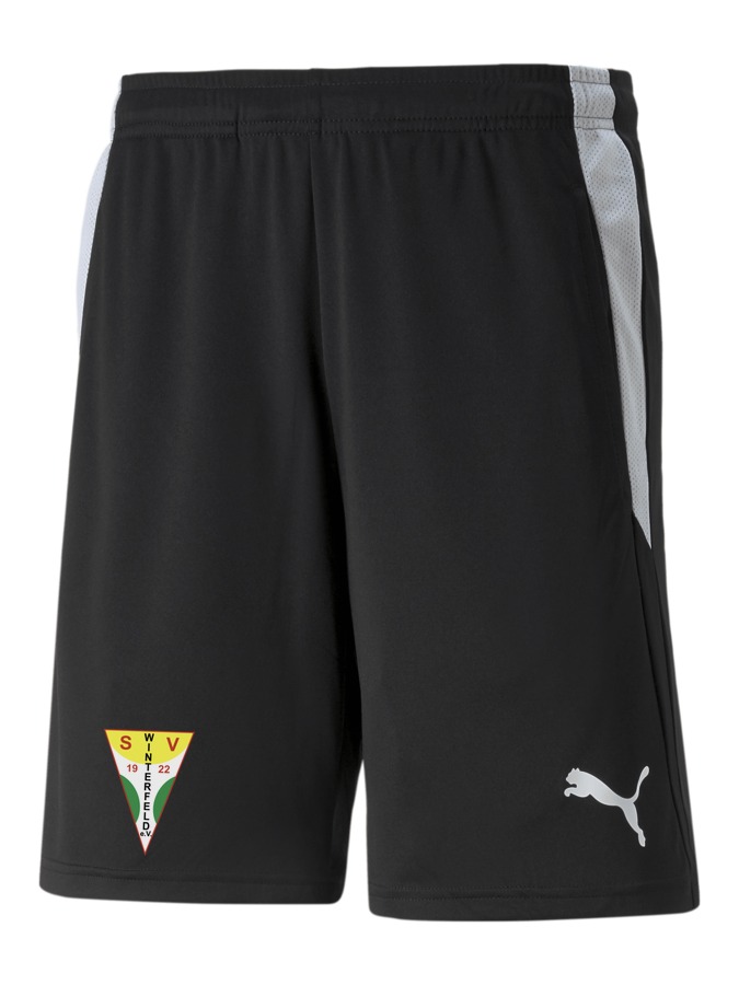 PUMA teamLIGA Referee Shorts