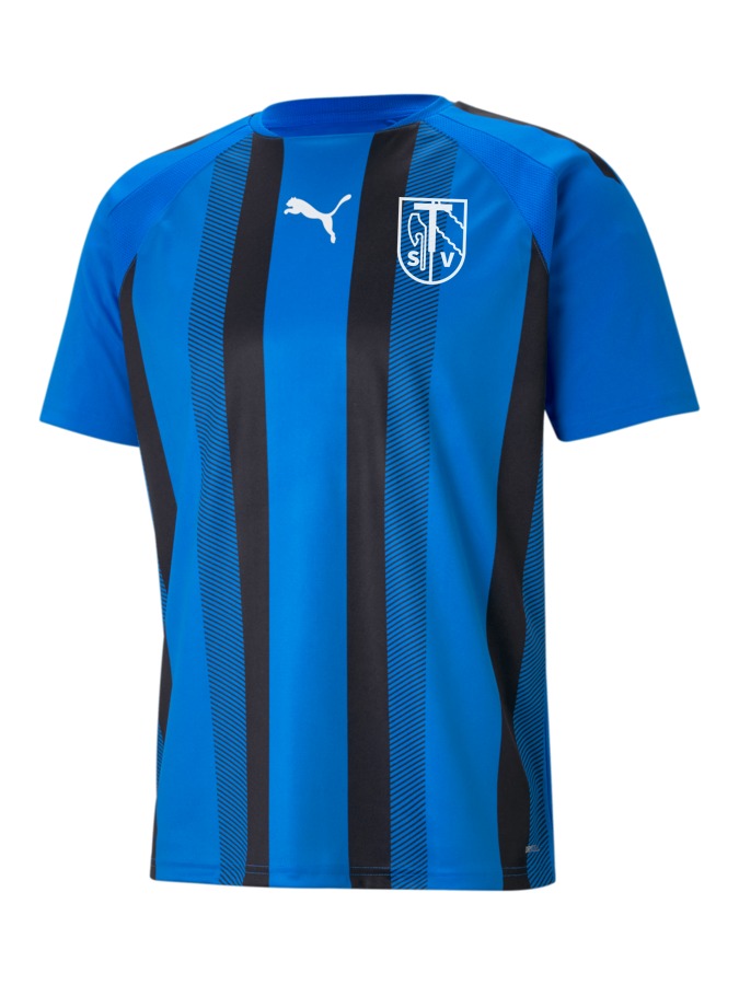PUMA teamLIGA Striped Trikot