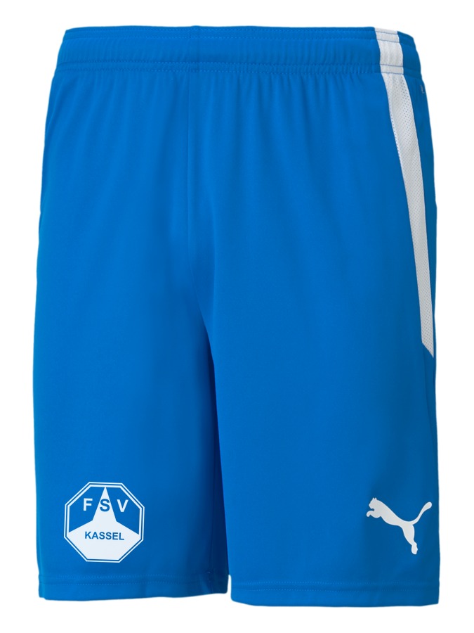 PUMA teamLIGA Shorts
