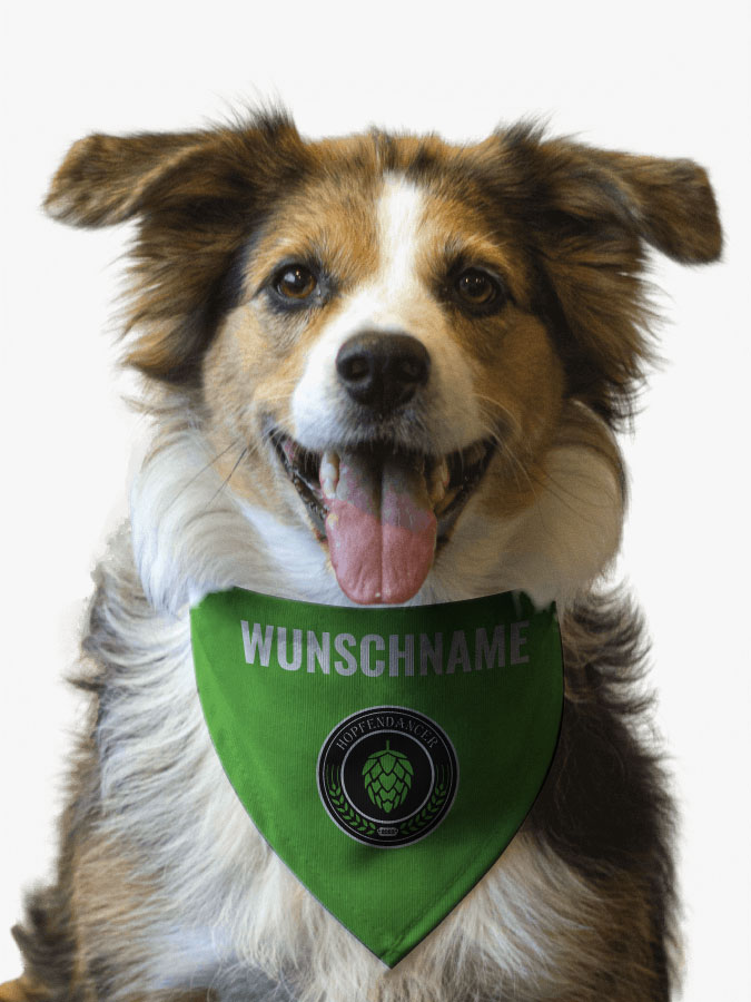 Hundehalstuch