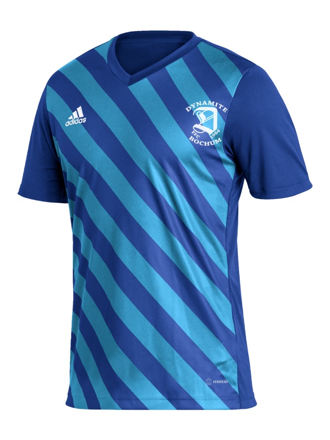 adidas Entrada 22 GFX Trikot