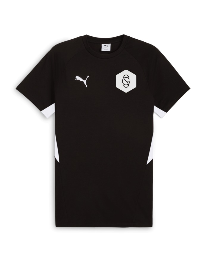 PUMA teamEVOSTRIPE T-Shirt