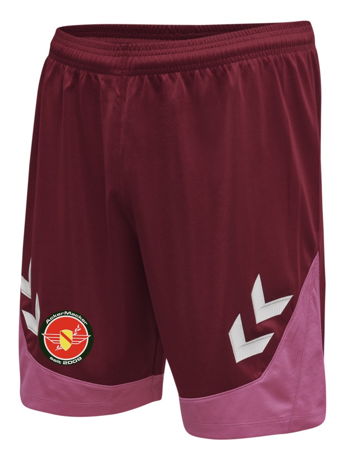Hummel Lead Trainingsshorts