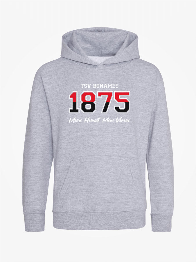 Hoodie Established Kids