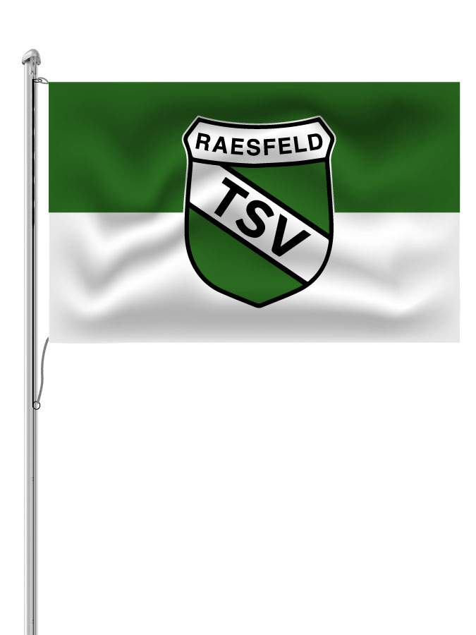 Hissfahne Logo