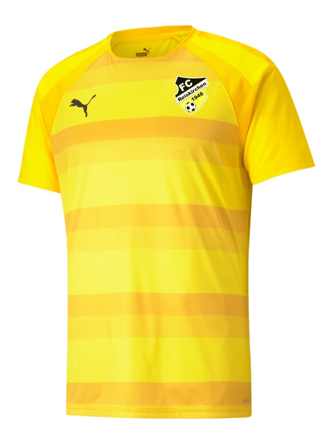 PUMA teamVISION Trikot