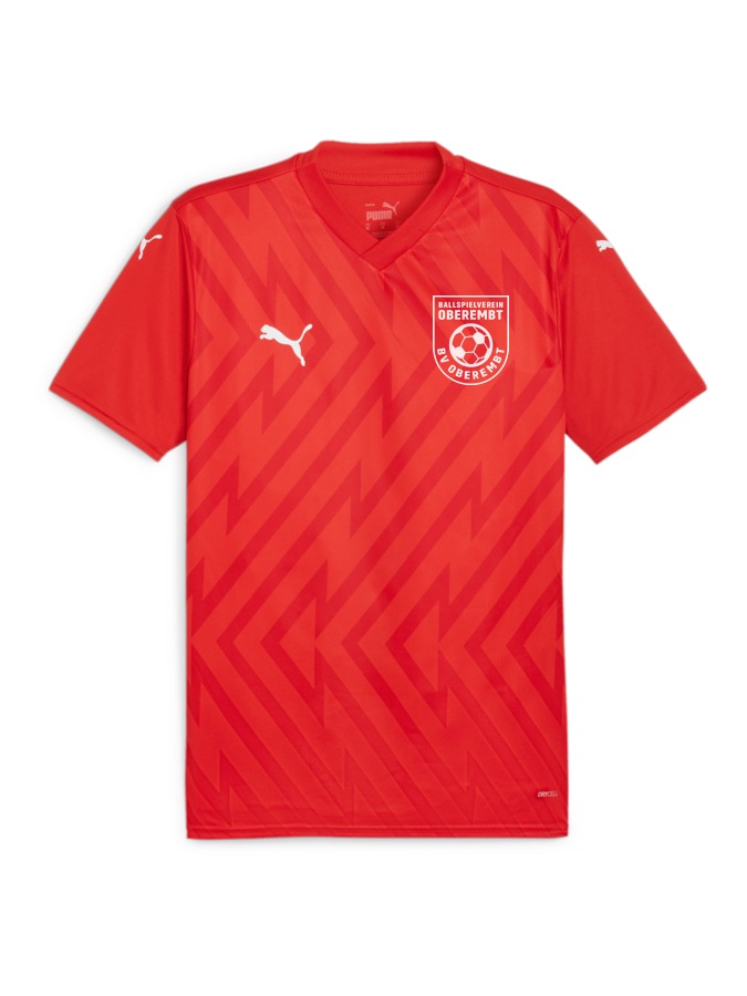 PUMA teamGLORY Trikot
