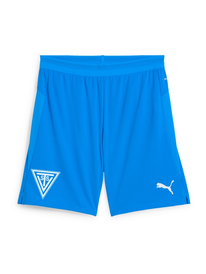 PUMA teamCUP Shorts