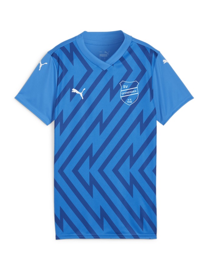 PUMA teamGLORY Trikot Damen