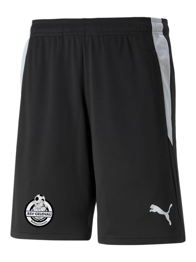 PUMA teamLIGA Referee Shorts