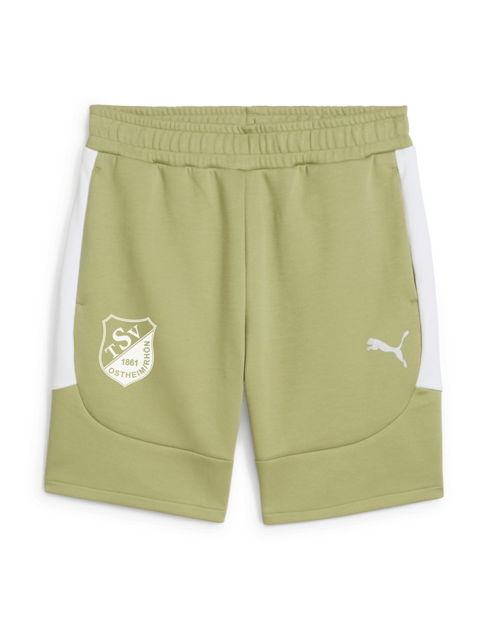 PUMA teamEVOSTRIPE Shorts