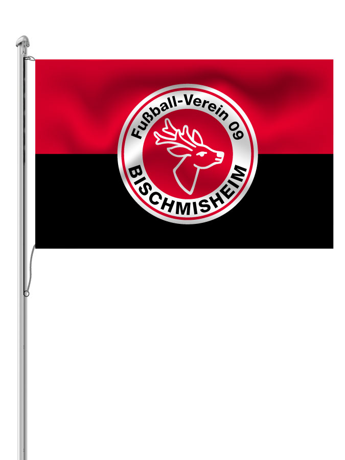 Hissfahne Logo