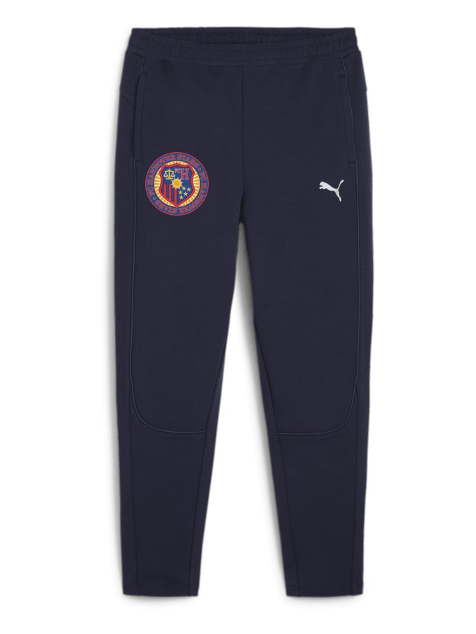 PUMA teamFINAL Casuals Hose Damen