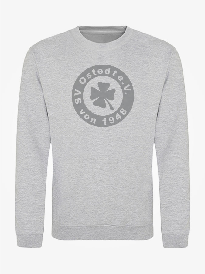 Sweater All Grey Herren