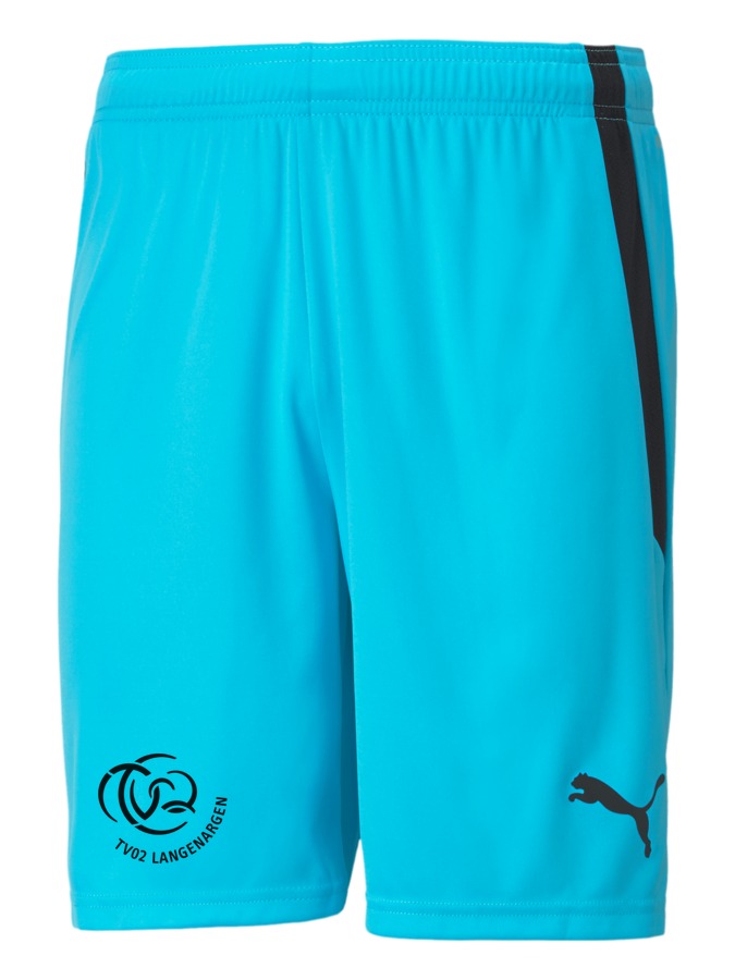 PUMA teamLIGA Shorts