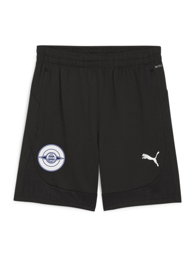 PUMA teamFINAL Training Shorts